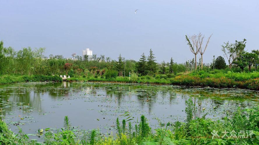 西安浐灞国家湿地公园图片 - 第5张