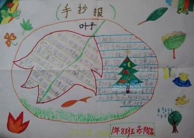 树叶做的数学手抄报 简单的数学手抄报