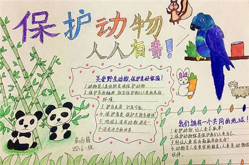 宣传保护动物的手抄报 保护动物手抄报