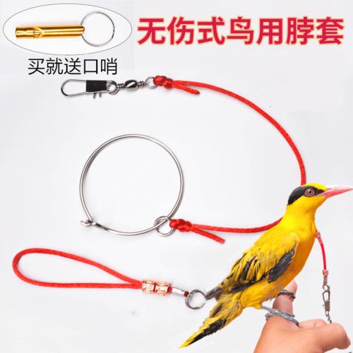 文鸟牡丹脖套放飞溜鸟绳鸟链子八哥玄凤伯劳蜡嘴栓鸟脖绳脖子套