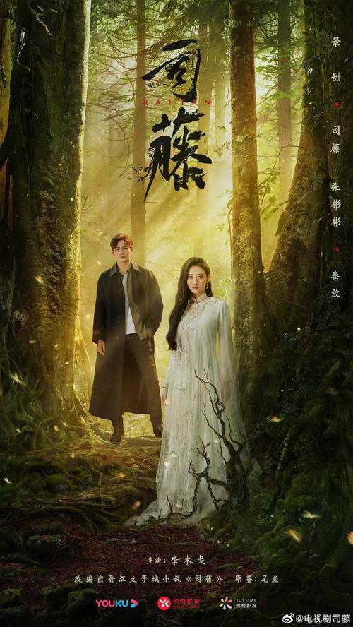 《司藤》海报