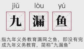 爱豆高考307分,粉丝却骂清华博士是「九漏鱼」