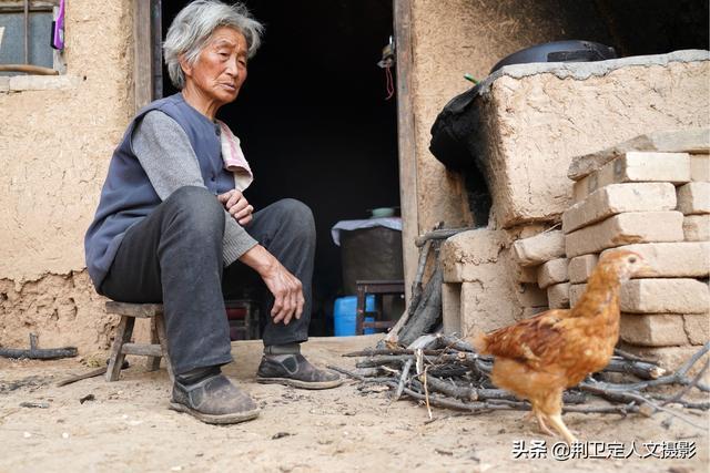 农村8旬老人买下20只小鸡,2个月后让她无奈,看是咋回事