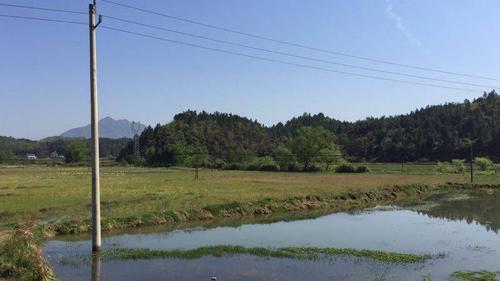 东陈线100-101杆跨越鱼塘,100杆无杆号牌