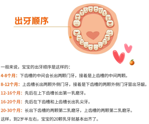 宝宝"第一颗牙"啥时候长?长牙的顺序是什么?注意事项有哪些?
