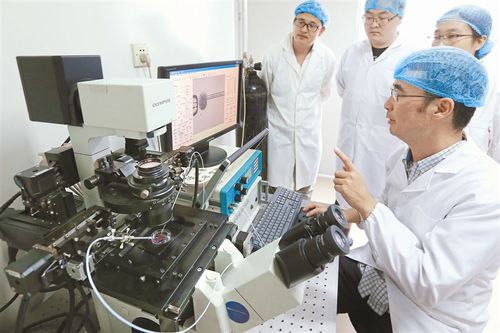 南开大学—— "克隆机器人"获奖