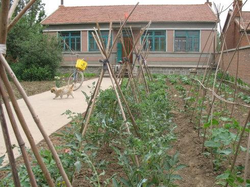 典型的东北农村民居.