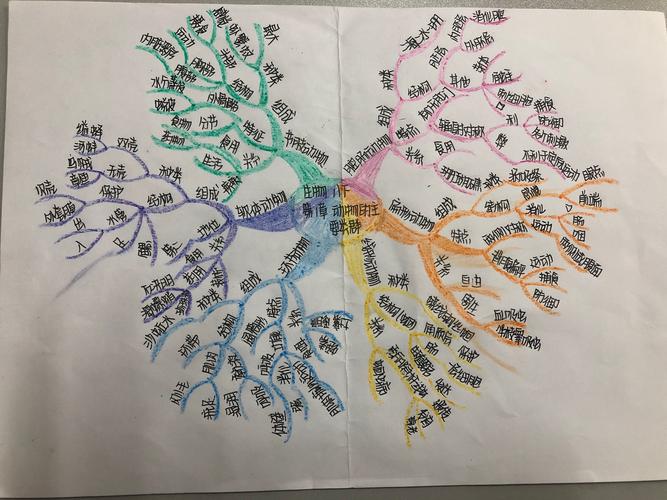 生命的咏叹——八年级生物思维导图展