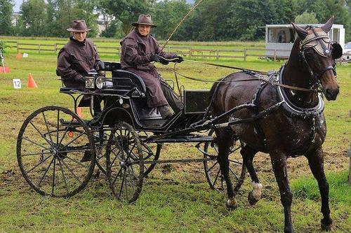 四轮马车为西方近现代汽车
