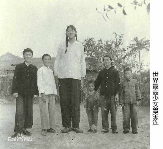 曾金莲图片_百度百科