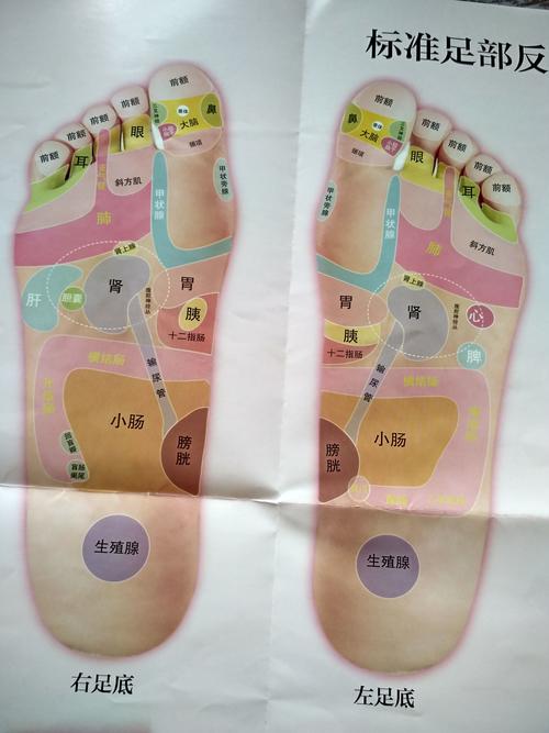 遍捏趾缝抖足趾,每