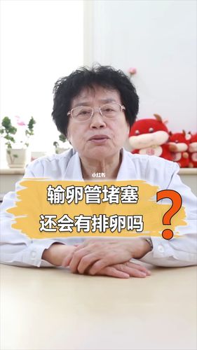 输卵管堵塞还会有排卵吗?_输卵管堵塞_输卵管堵塞不孕