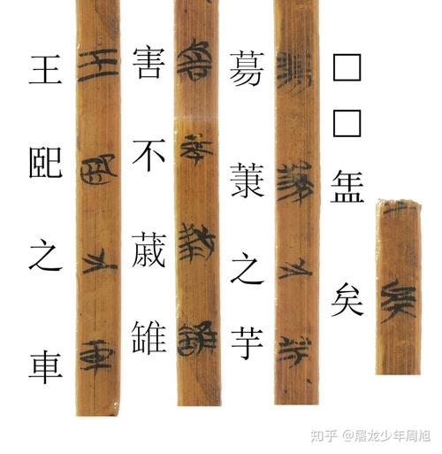 安大简23何彼襛矣对读