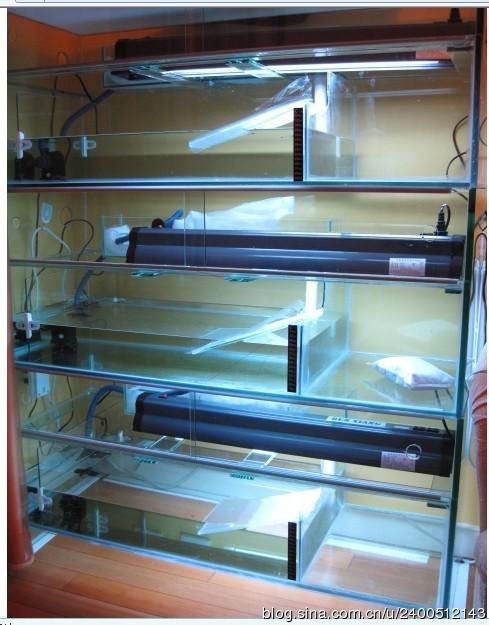 很久没更新博客了,搜集了龟友养龟的环境图片,都是排缸养殖的,供龟友