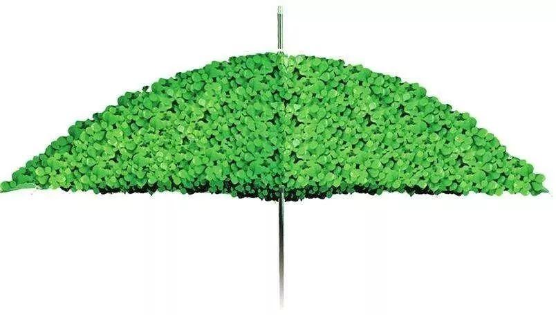 基于生态系统的听障儿童心理健康支持体系的构建