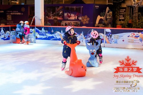 【祥云小镇ice world冰乐园团购】-大众点评网团购