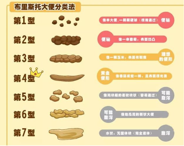 新生儿护理知识大全(六)——关于宝宝的便便问题