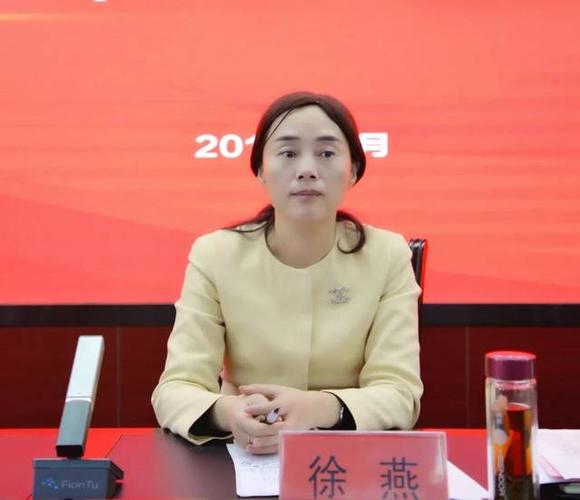 区委常委,组织部部长徐燕充分肯定了2018年全区共青团工作取得的成绩