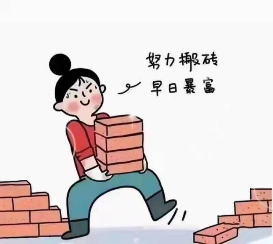 努力搬砖