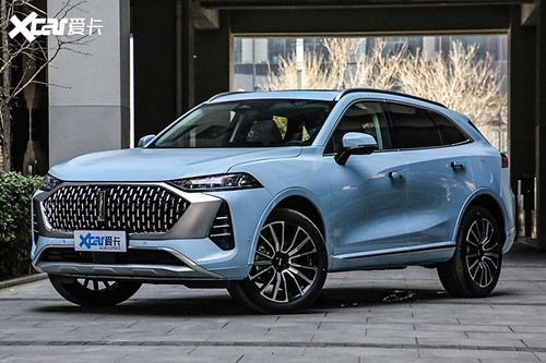 毕竟作为家族旗舰suv,wey 摩卡不仅看上去要比wey 玛奇朵体型更硕大