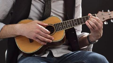 乐器演奏 尤克里里初学教程 学员  分享 收藏            4