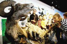 中国科学院新疆生态与地理研究所标本馆