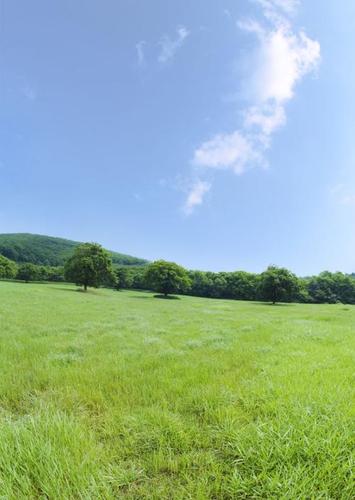 500_704 竖版 竖屏