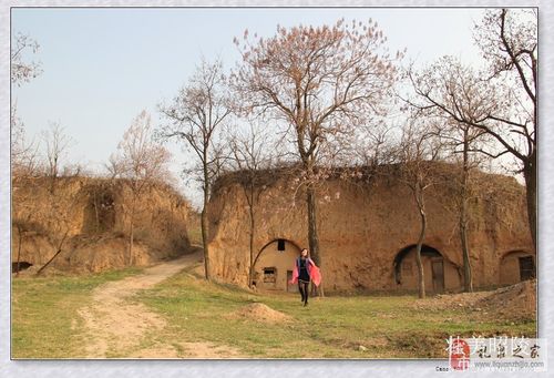 春到武将山_家乡风韵:自然 名胜 风俗 特产_礼泉论坛