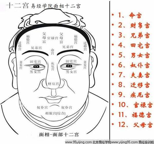 面相十二宫图解,面相十二宫解析
