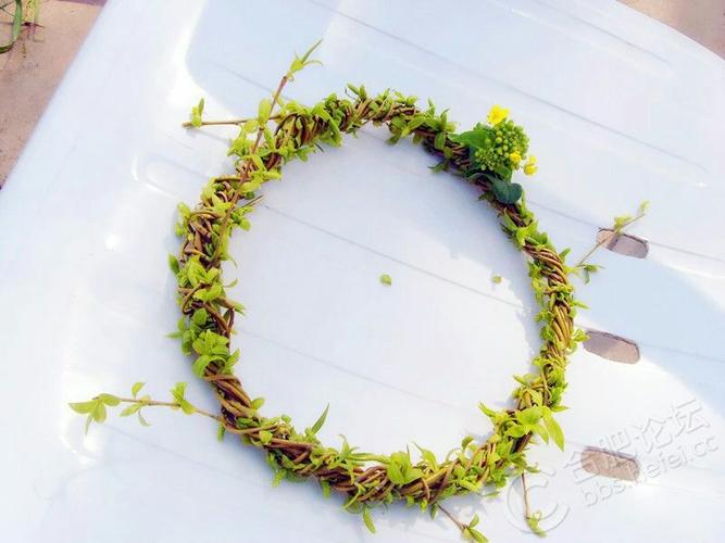 其它 春风起,柳枝扬 写美篇 柳枝还可以编成花环,每次过家家的时候