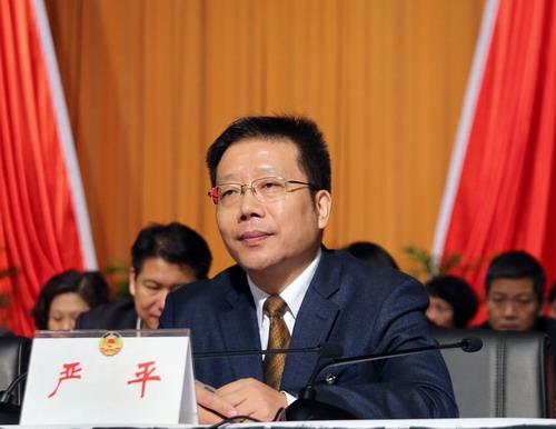盟市委主委严平当选为政协第十五届九江市委员会副主席