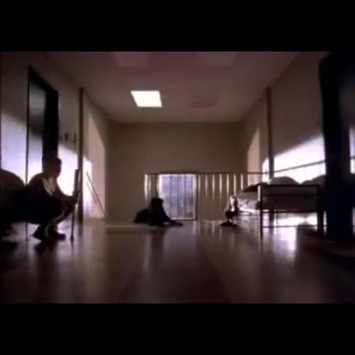 性别从来都不应该成为爱情之间的阻碍(迷恋荷尔蒙)影评