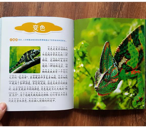 自然小百科自然百科全书 儿童探索大自然奥秘 科普绘本自然科学启蒙