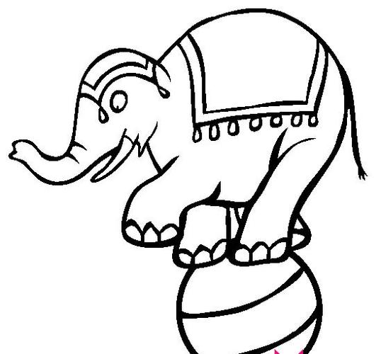 马戏团大象简笔画