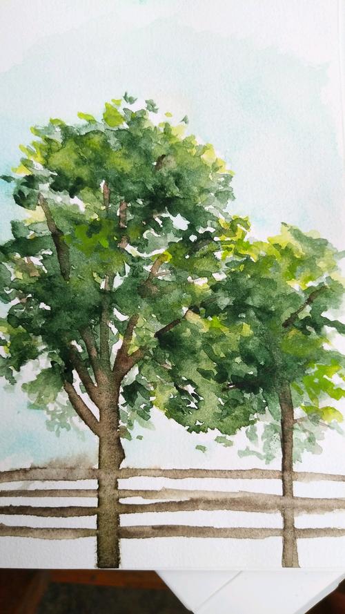 水彩画树