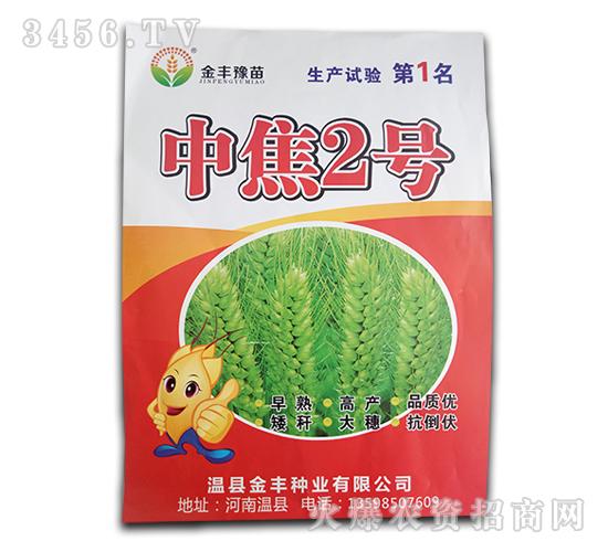 中焦2号金丰豫苗金丰种业