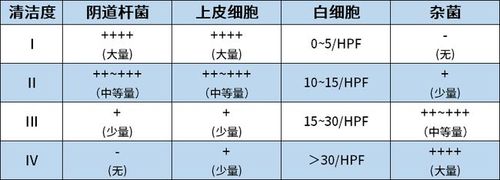 白带常规到底要怎么看?