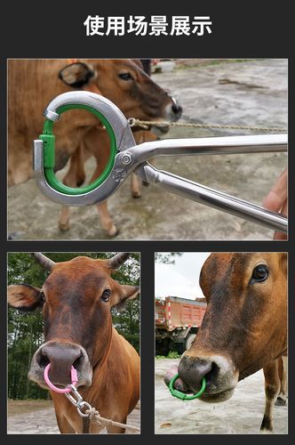 塑料牛鼻环 带销钉牛鼻圈养牛场厂器械夹犊穿牛鼻子牵引扣打孔器