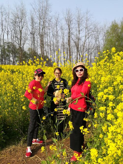 2019,3,29湘阴斗米咀赏油菜花