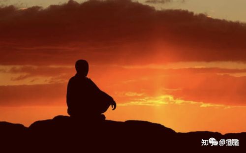 打坐是成本最低的养精补脑妙法