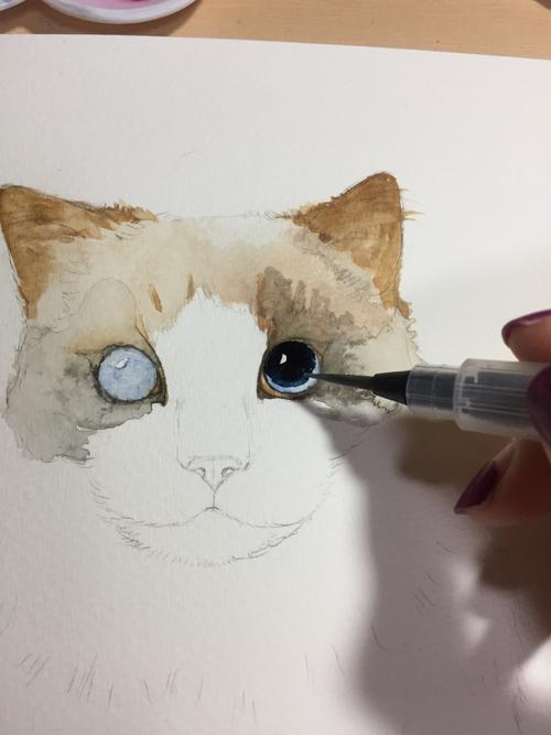 美艳布偶猫水彩画