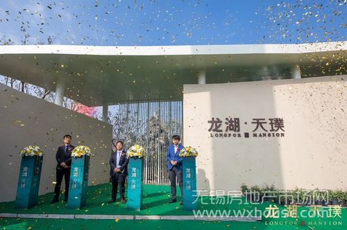 耀世而来,龙湖·天璞生活示范区首揭面纱 - 无锡房地产市场网
