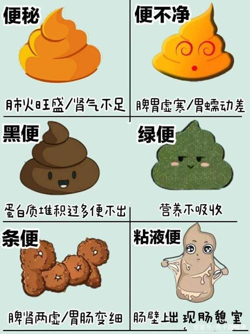 便秘大便先干后稀大便溏稀不成形羊屎便都是怎么回事