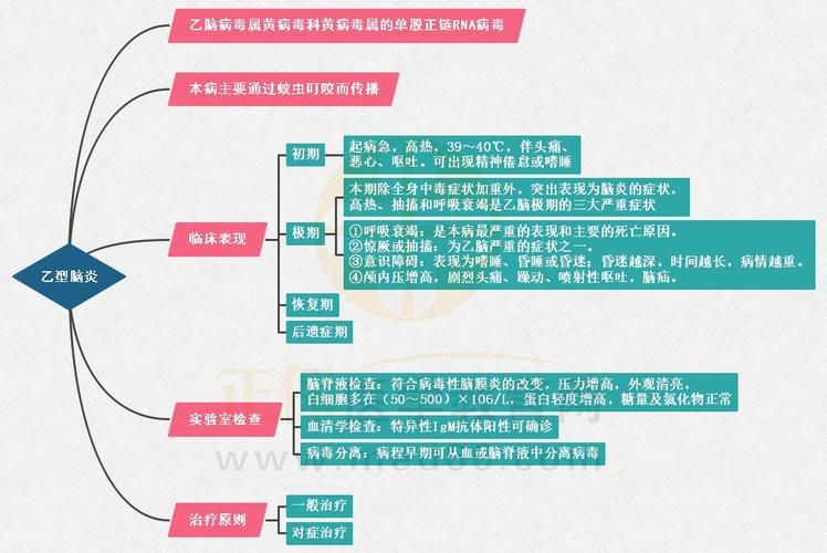 实用!临床执业医师「传染病,性传播疾病」冲刺思维导图