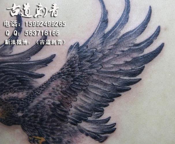 老鹰纹身图案 纹身图案 广州纹身