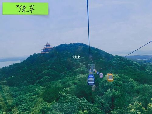 武汉东湖磨山景区必看游玩攻略_东湖_游玩_游玩攻略_东湖磨山景区