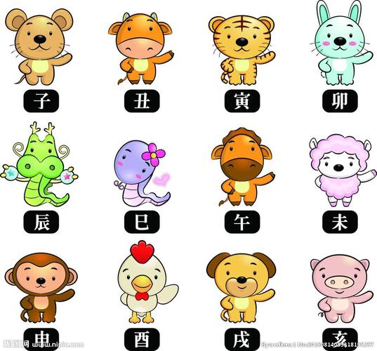 十二生肖手指谣