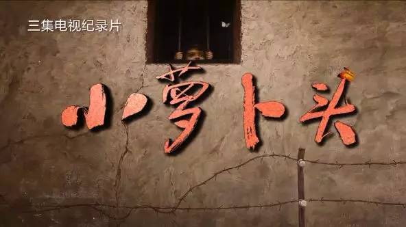 纪录片小萝卜头将于今晚登陆央视国家记忆