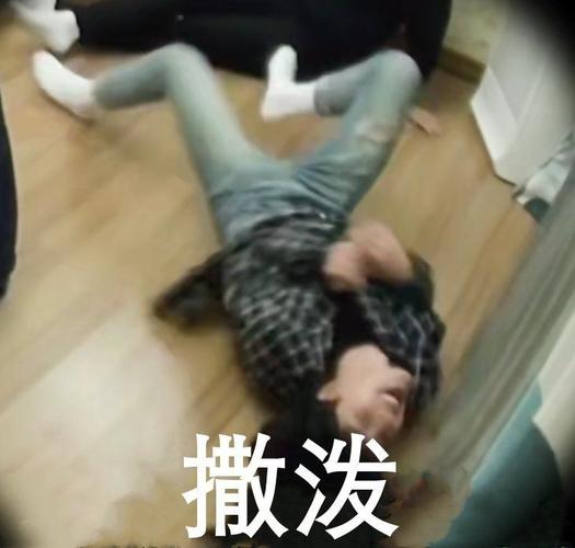 有没有,地上撒泼滚地的动图表情包