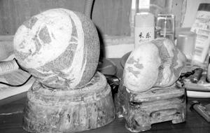 保护两块奇石 一家三口受伤(图)